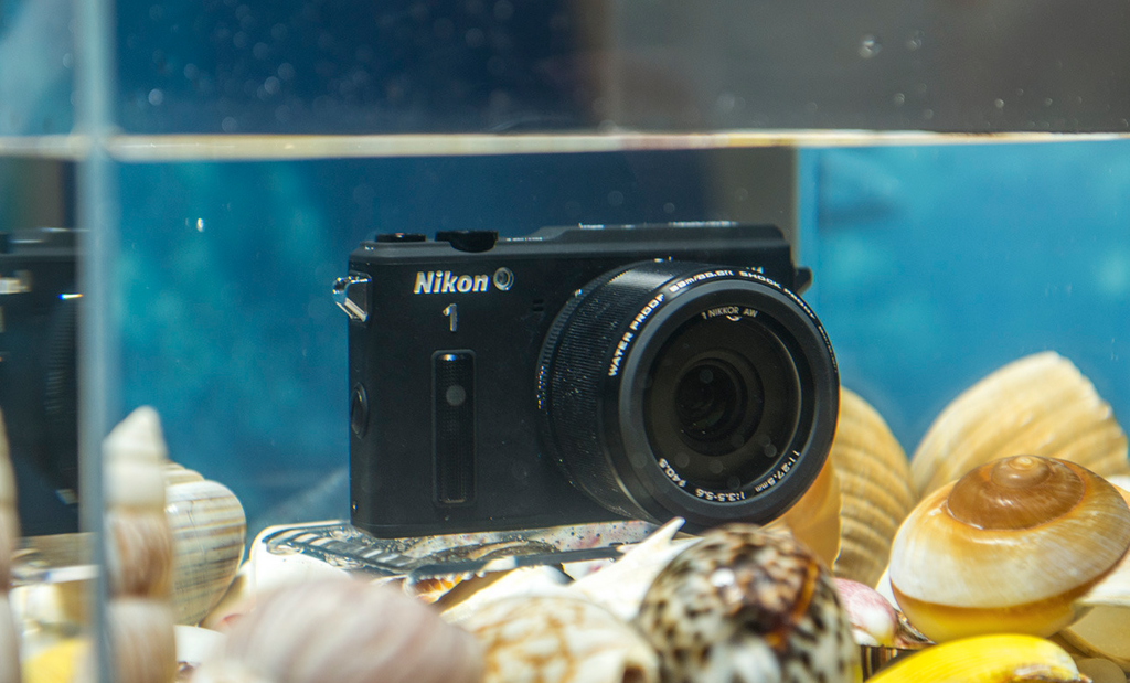 Nikon AW1 - Compact underwater video camera with interchangeable lens ...